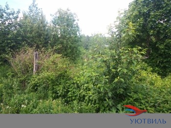 Земля в Станционном-Полевском в Клине - klin.yutvil.ru - фото 2 Земля в Станционном-Полевском в Клине - klin.yutvil.ru - фото 2