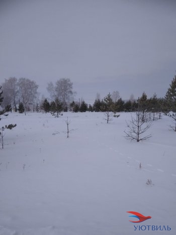 Земельный участок поселок Баженово в Клине - klin.yutvil.ru - фото 2 Земельный участок поселок Баженово в Клине - klin.yutvil.ru - фото 2