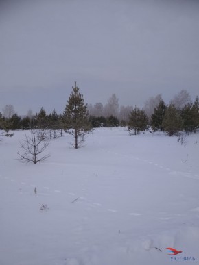 Баженово ул Южная д 7 в Клине - klin.yutvil.ru - фото 5