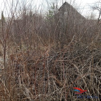 садовый участок в Дуброво-1 в Клине - klin.yutvil.ru - фото 3 садовый участок в Дуброво-1 в Клине - klin.yutvil.ru - фото 3