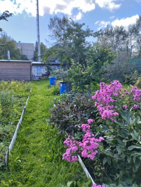 Коллективный сад номер 7, участок 58 в Клине - klin.yutvil.ru - фото 23