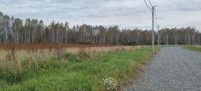 с. Новоалексеевское, КП Оникс,  в Клине - klin.yutvil.ru - фото 2