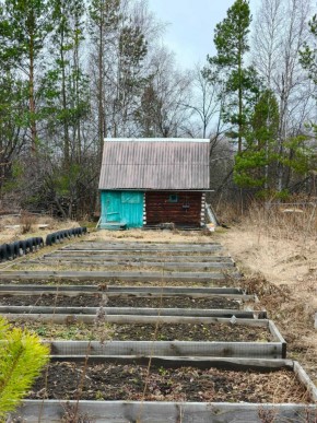 СНТ Родники в Клине - klin.yutvil.ru - фото 7 СНТ Родники в Клине - klin.yutvil.ru - фото 7