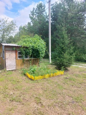 СНТ Родники в Клине - klin.yutvil.ru - фото 1 СНТ Родники в Клине - klin.yutvil.ru - фото 1