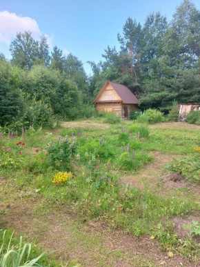 СНТ Родники в Клине - klin.yutvil.ru - фото 2 СНТ Родники в Клине - klin.yutvil.ru - фото 2
