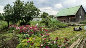 ул. 8-е Марта,46 в Клине - klin.yutvil.ru - фото 10 ул. 8-е Марта,46 в Клине - klin.yutvil.ru - фото 10