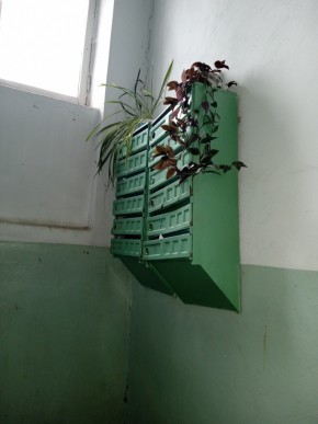 ул. Бажова,11 в Клине - klin.yutvil.ru - фото 2 ул. Бажова,11 в Клине - klin.yutvil.ru - фото 2
