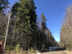 ул. Калиновая,9 в Клине - klin.yutvil.ru - фото 4