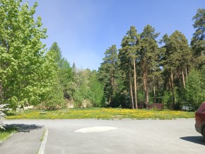 ул. Сосновая, 8 в Клине - klin.yutvil.ru - фото 26